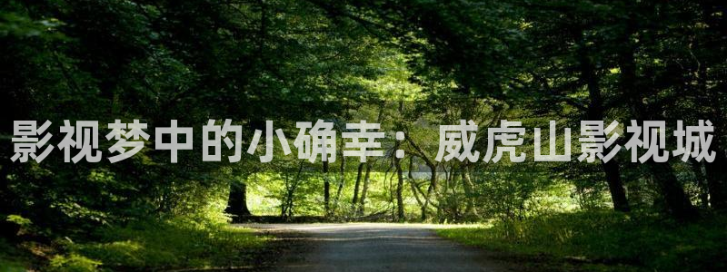家庭影院 星空顶