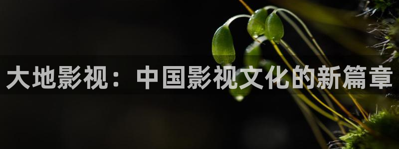 星空网高清不卡