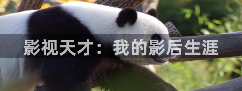 星空高清影院：影视天才：我的影后生涯