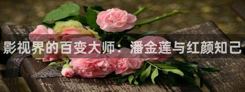 星空影院最新最好看的电影电视剧